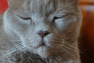 Similar image 841168