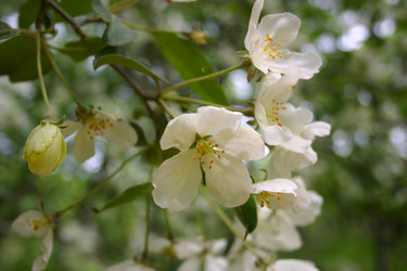 Similar image 841182