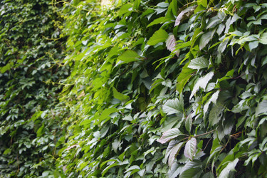 Similar image 841185