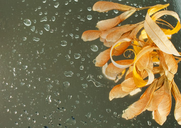 Similar image 841212