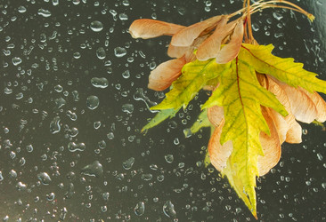 Similar image 841213