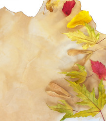 Similar image 841221