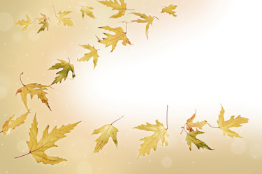 Similar image 841247