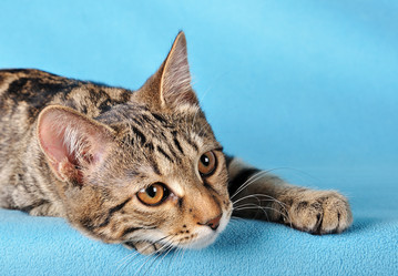 Similar image 841492