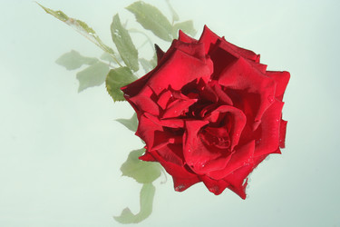 Similar image 841513