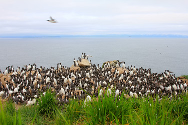 Similar image 841518