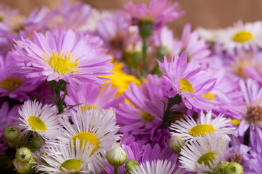 Similar image 841532