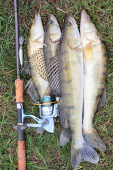 Similar image 841533