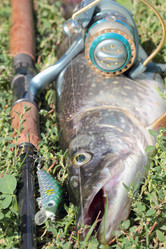 Similar image 841534