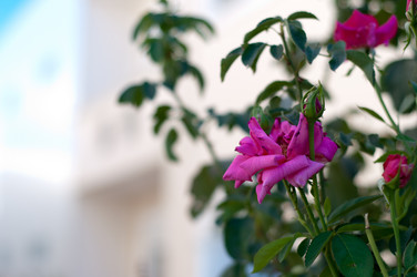 Similar image 841544