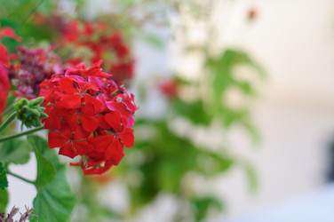 Similar image 841547