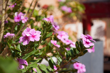 Similar image 841549