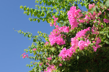 Similar image 841553