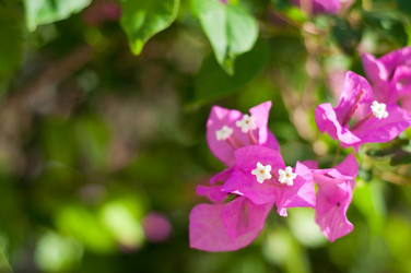 Similar image 841555