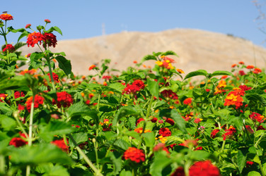 Similar image 841556