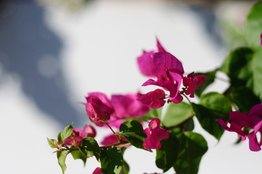 Similar image 841559