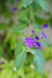 Similar image 841562