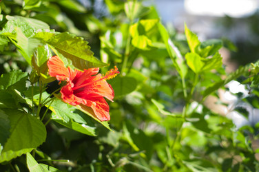 Similar image 841565