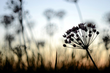 Similar image 841699