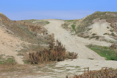 Similar image 841734