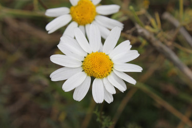 Similar image 841748