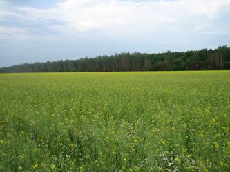 Similar image 841751