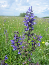 Similar image 841752