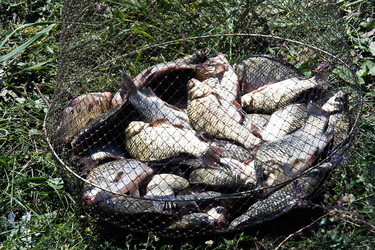 Similar image 841769