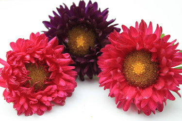 Similar image 841831