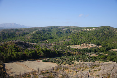 Similar image 841846