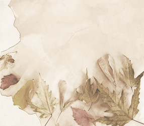 Similar image 841880