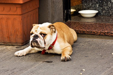 Similar image 841897