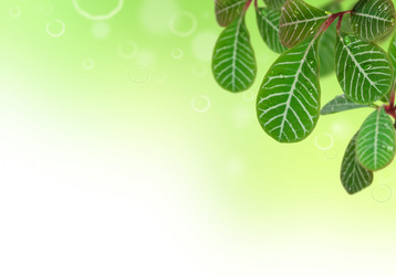 Similar image 841899