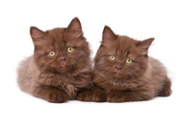 Similar image 841978