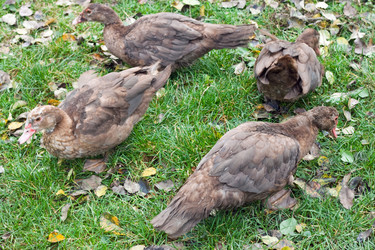 Similar image 841989