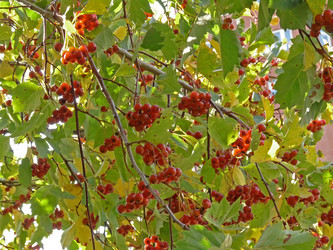 Similar image 842000