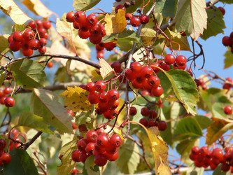 Similar image 842001