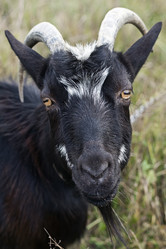 Similar image 842068