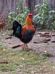 Similar image 842086