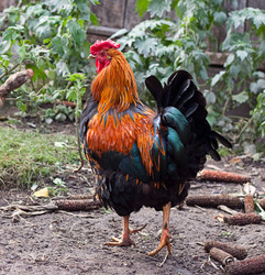 Similar image 842087