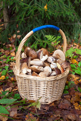 Similar image 842112