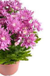 Similar image 842133