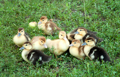 Similar image 842158