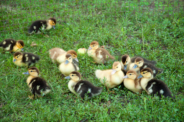 Similar image 842159