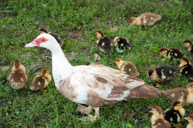 Similar image 842161