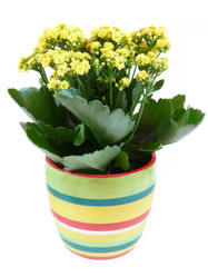 Similar image 842171