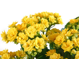 Similar image 842172