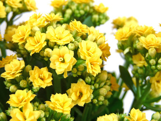 Similar image 842173