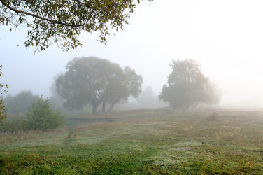 Similar image 842174