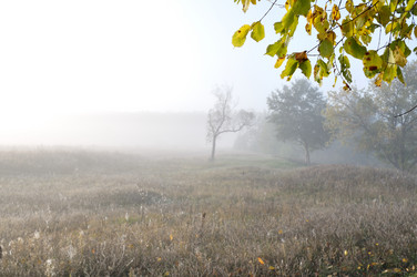 Similar image 842175